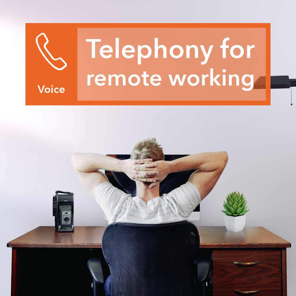 Telephony for remote working